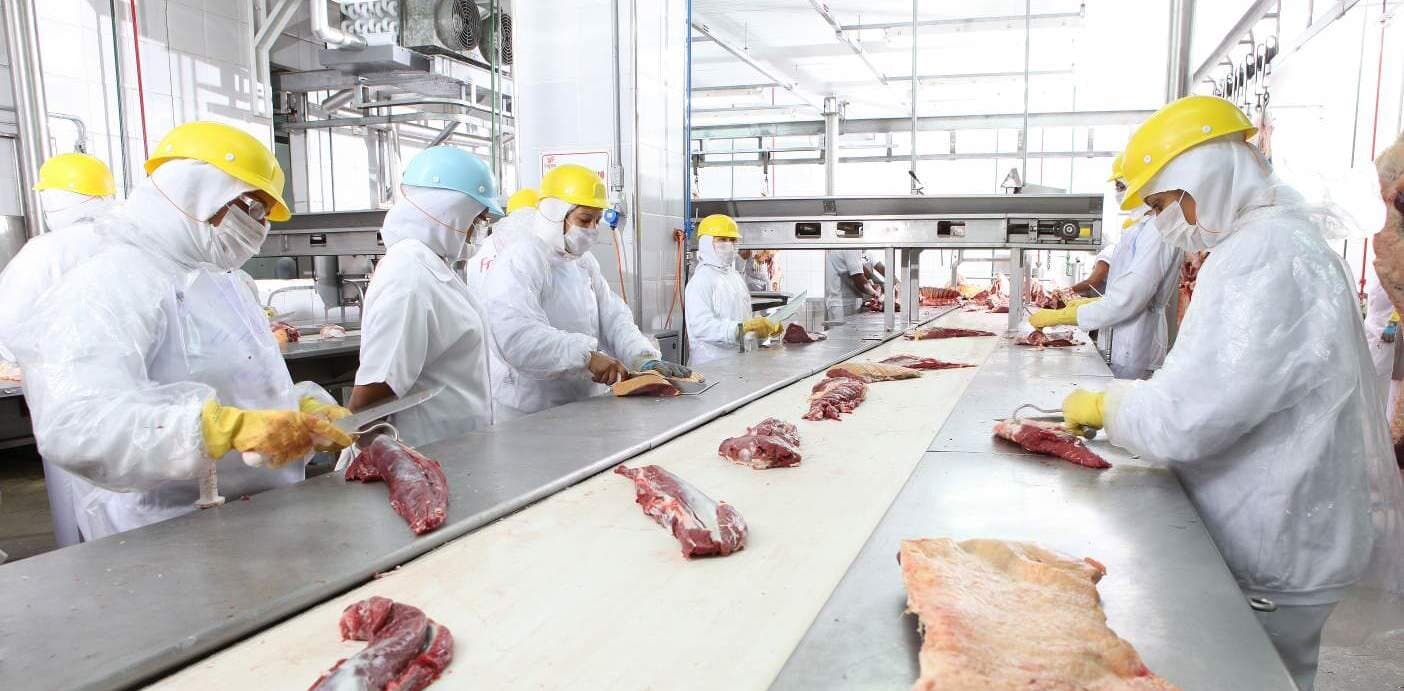 Linha de produção com equipe uniformizada separando os cortes.