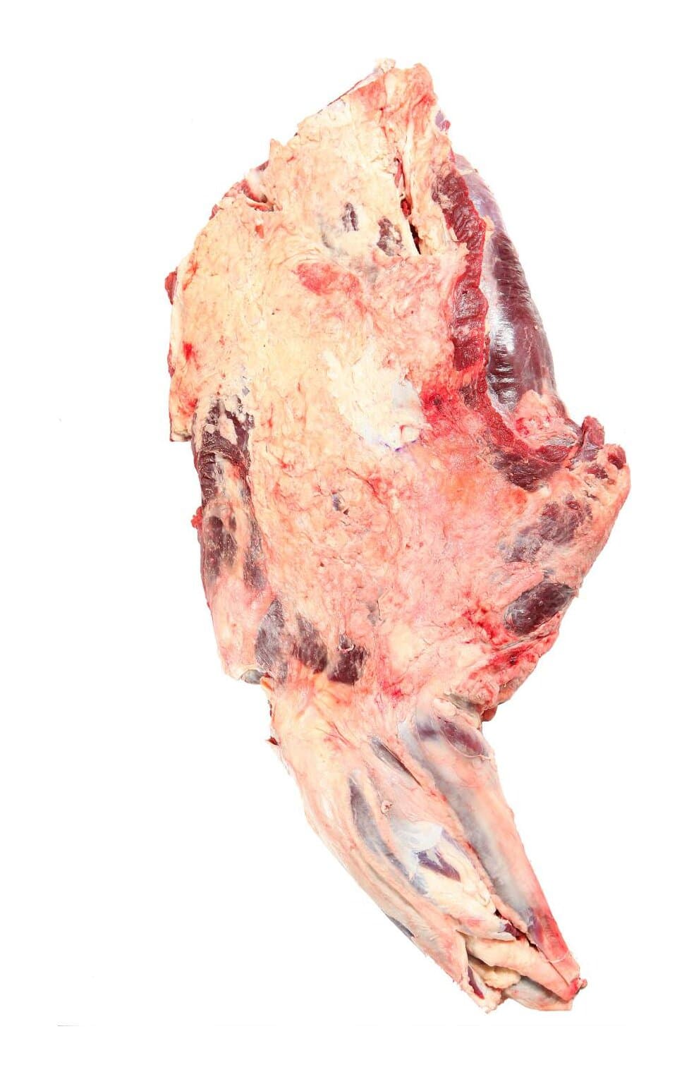 带腱前腿肉